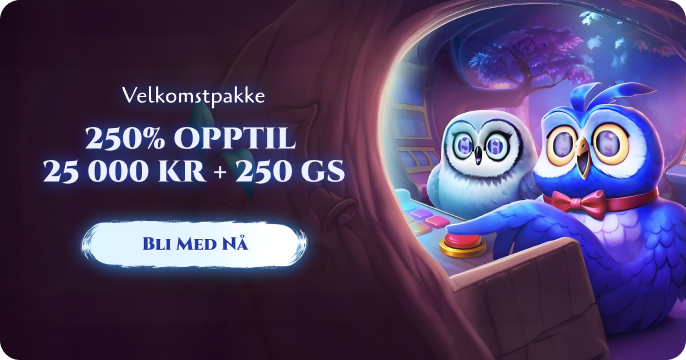 Spinight NO